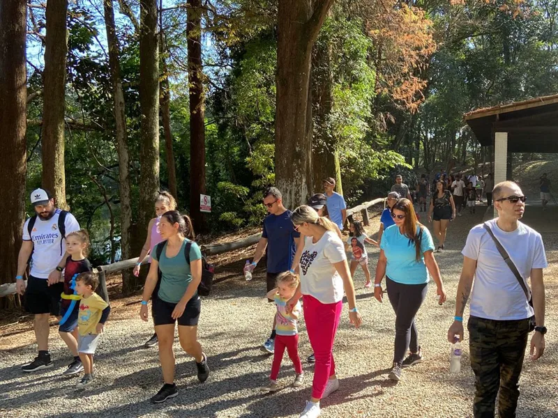 Famílias e equipe do Instituto caminhando juntas pela trilha arborizada do parque