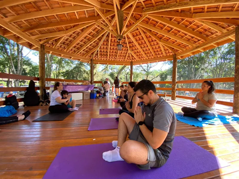 Famílias em prática de meditação sobre tapetes no quiosque de madeira do parque